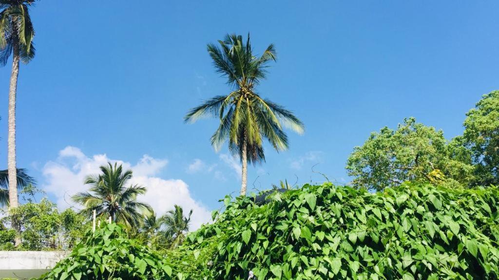 Villa Ceylon Home 乌纳瓦图纳 外观 照片